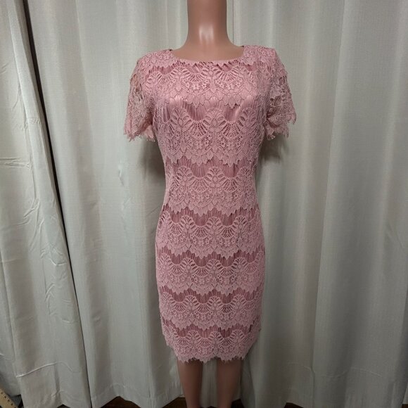 Preston & York Felecia Short Sleeve Lace Sheath Dress Women's Sz 6 Rose Pink NWT - Picture 1 of 12